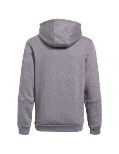 Adidas Tiro 21 Sweat Hoody Jr GP8803 2