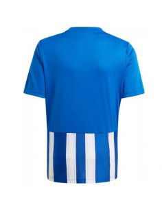 Tee adidas Striped 21 Jr GH7323 2
