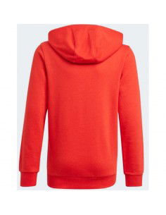 Adidas Essentials Big Logo Hoodie Jr GN4037 2