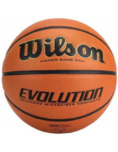 Wilson Evolution Indoor Game Ball WTB0586XBEMEA