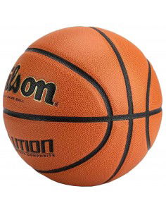 Wilson Evolution Indoor Game Ball WTB0586XBEMEA 2