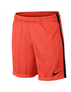 Nike Dry Squad Jacquard Junior 870121-852 football shorts 2