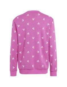 Sweatshirt adidas Bluv Swt Jr IC5573 2