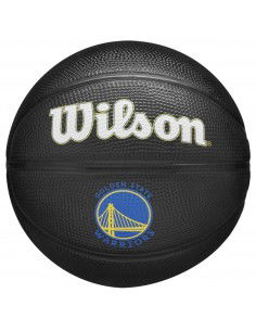 Wilson Team Tribute Golden State Warriors Mini Ball WZ4017603XB