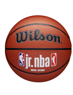 Wilson Jr NBA Fam Logo InOut Ball WZ2009801XB