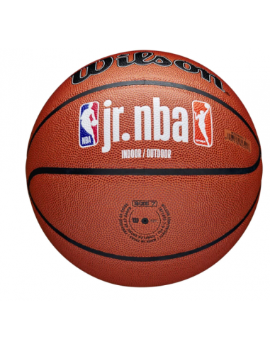 Wilson Jr NBA Fam Logo Μπάλα Μπάσκετ Indoor/Outdoor WZ2009801XB Wilson Jr NBA Fam Logo Μπάλα Μπάσκετ Indoor/Outdoor WZ2009801XB