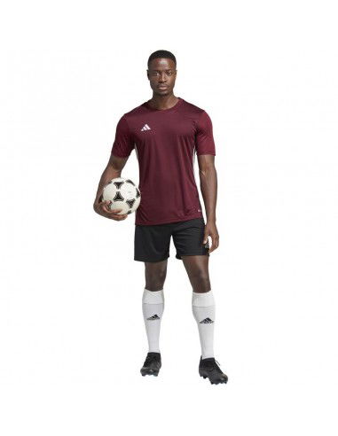 Adidas Table 23 Αθλητικό Ανδρικό T-shirt Μπορντό με Στάμπα IB4928 Adidas Table 23 Αθλητικό Ανδρικό T-shirt Μπορντό με Στάμπα IB4928