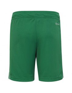 Shorts adidas Tiro 23 League Jr IB8096 2