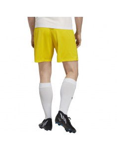 Adidas Entrada 22 Αθλητική Ανδρική Βερμούδα Κίτρινη IC7404 2