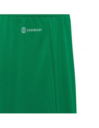 Adidas Αθλητικό Παιδικό Σορτς/Βερμούδα Entrada 22 Πράσινο IC7410 Adidas Αθλητικό Παιδικό Σορτς/Βερμούδα Entrada 22 Πράσινο IC7410