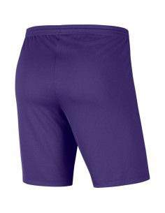 Nike Αθλητικό Παιδικό Σορτς/Βερμούδα Μωβ BV6865-547 2