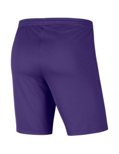 Nike Park III Αθλητική Ανδρική Βερμούδα Μωβ BV6855-547 2