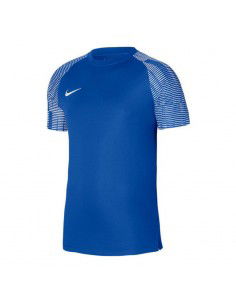 Nike DriFit Academy SS M DH8031463 Tshirt