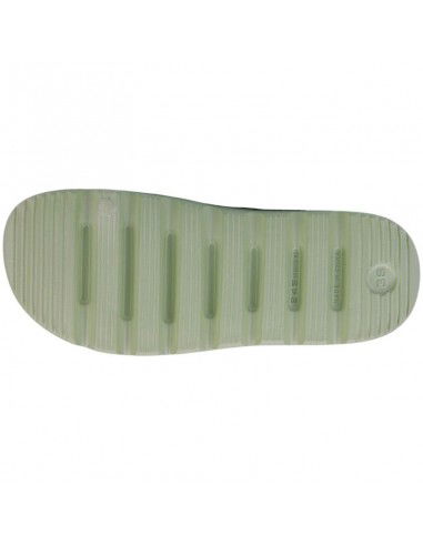 Coqui 7042-100 Slides MInt Coqui 7042-100 Slides MInt