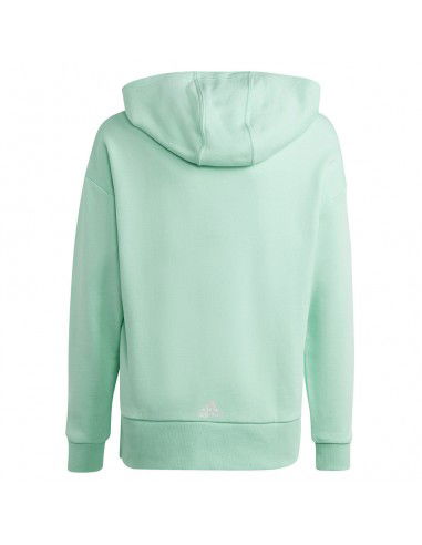 Sweatshirt adidas D Hoody Jr HR5825 Sweatshirt adidas D Hoody Jr HR5825