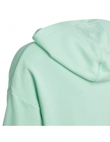 Sweatshirt adidas D Hoody Jr HR5825 Sweatshirt adidas D Hoody Jr HR5825