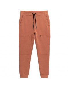 Trousers 4F M 4FSS23TTROM152brown