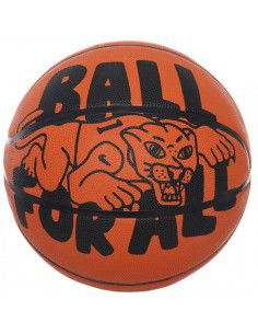 Basketball Nike Playground Outdoor 100 4371 811 06