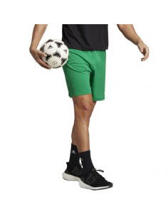 Adidas Entrada 22 Αθλητική Ανδρική Βερμούδα Πράσινη IC7405