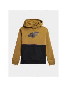 4F Jr sweatshirt 4FJAW23TSWSM62874S