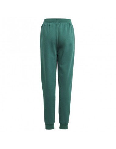Pants adidas BLUV Q3 Pant Jr IA1553 Pants adidas BLUV Q3 Pant Jr IA1553