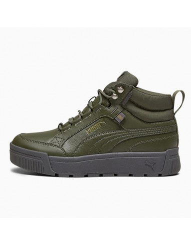 Puma Tarrenz SB III Puretex shoes 39393003 Puma Tarrenz SB III Puretex shoes 39393003