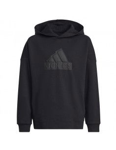 Sweatshirt adidas FI Logo HD Jr HR6301 2