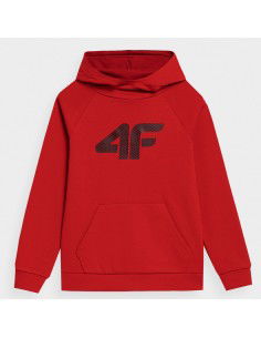 Sweatshirt 4F 4FJSS23TSWSM220 62S