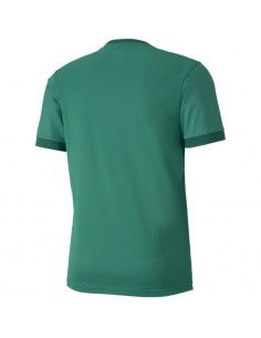 Puma teamGOAL 23 Jersey M 704171 05 2