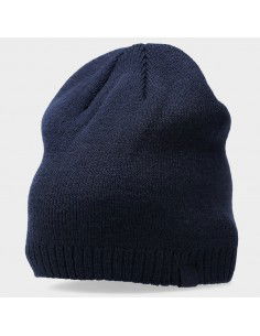 Winter hat 4F 4FAW23ACAPM304 31S