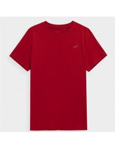 Tshirt 4F 4FSS23TTSHM536 62S