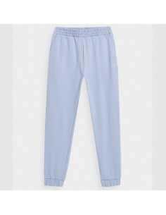 Trousers 4F 4FJSS23TTROF158 34S 2