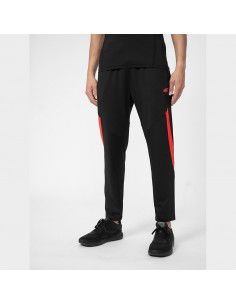 Trousers 4F 4FSS23TFTRM294 62S 2