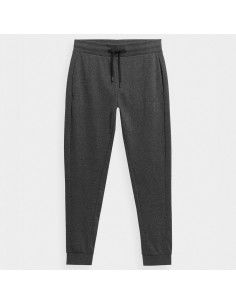 Trousers 4F 4FSS23TTROM223 23M