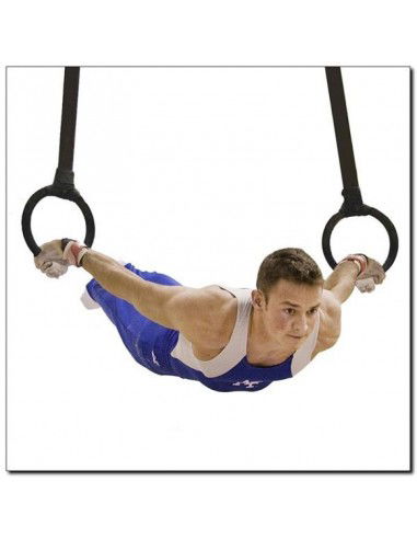 HMS TX05 gymnastic rings HMS TX05 gymnastic rings
