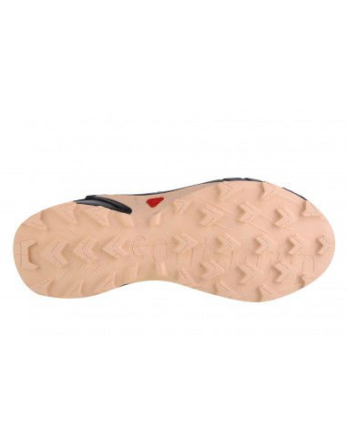 Salomon Alphacross 4 L47205200 Γυναικεία Αθλητικά Παπούτσια Trail Running Moonspace / Black / Peach Salomon Alphacross 4 L47205200 Γυναικεία Αθλητικά Παπούτσια Trail Running Moonspace / Black / Peach