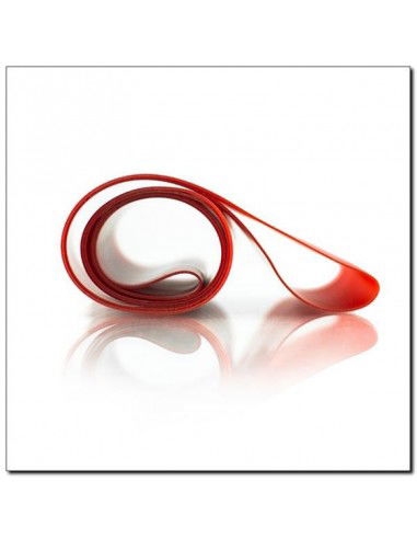 Exercise rubber HMS GU04 RED 07 x 50 x 600 MM 1733011 Exercise rubber HMS GU04 RED 07 x 50 x 600 MM 1733011