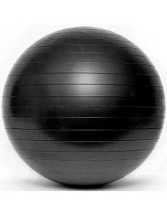 Gymnastic ball with pump SMJ GBS 1105