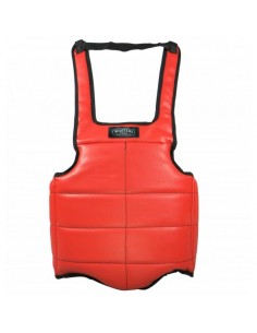 Masters OT2 torso protector 082204