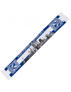 Panorama of the city scarf