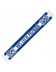 Panorama of the city scarf 2