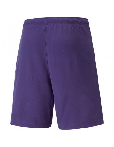 Puma teamRise Short Prist M 704942 10 Puma teamRise Short Prist M 704942 10