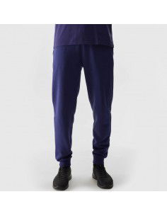 Trousers 4F 4FWSS24TTROM603 31S