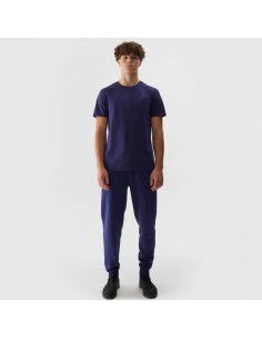 Trousers 4F 4FWSS24TTROM603 31S 2