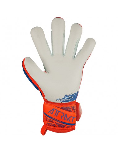 Reusch Attrakt Freegel Silver 54 72 235 2210 gloves Reusch Attrakt Freegel Silver 54 72 235 2210 gloves