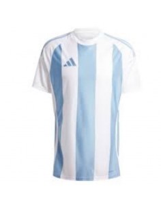 Adidas STRIPED 24 JSY IW4555 Tshirt