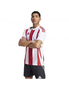 Adidas STRIPED 24 JSY Tshirt IW2142