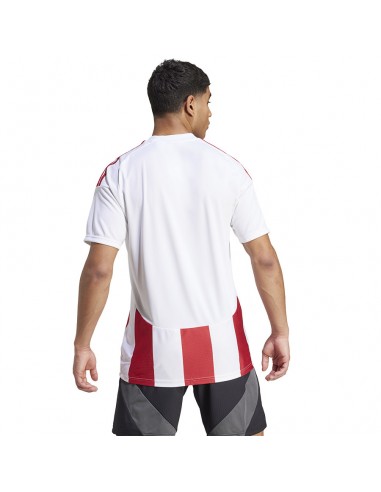 Adidas STRIPED 24 JSY Tshirt IW2142 Adidas STRIPED 24 JSY Tshirt IW2142