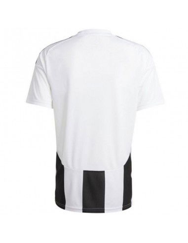Adidas STRIPED 24 JSY Tshirt IW2143 Adidas STRIPED 24 JSY Tshirt IW2143
