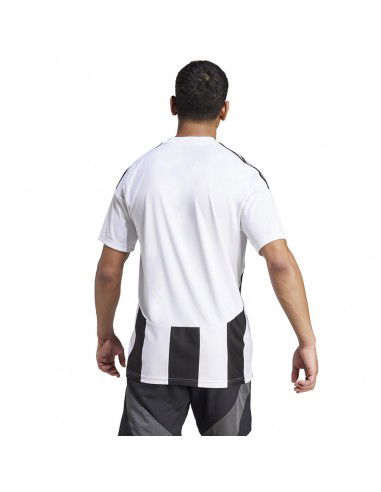 Adidas STRIPED 24 JSY Tshirt IW2143 Adidas STRIPED 24 JSY Tshirt IW2143